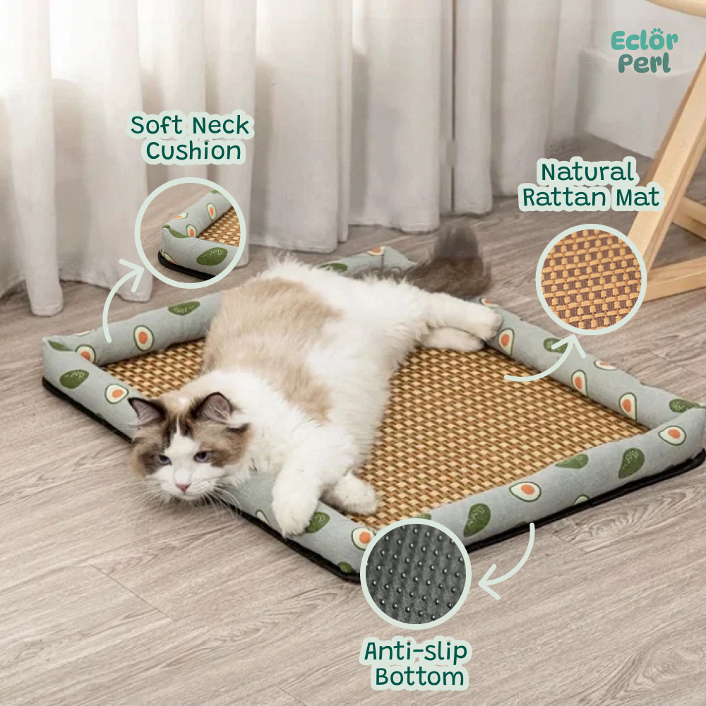 Cat Rattan Cooling Bed Eclorperl