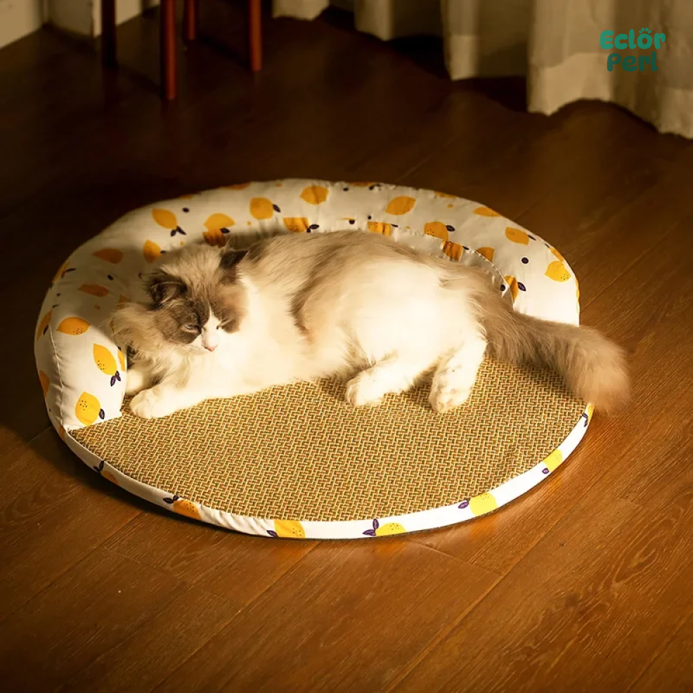 Round Rattan Cat Mat