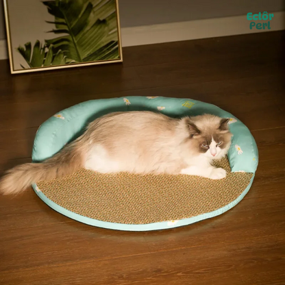 Round Rattan Cat Mat