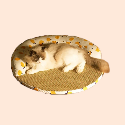 Round Rattan Cat Mat