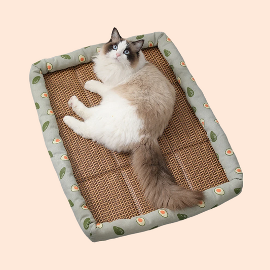 Cat Rattan Cooling Bed