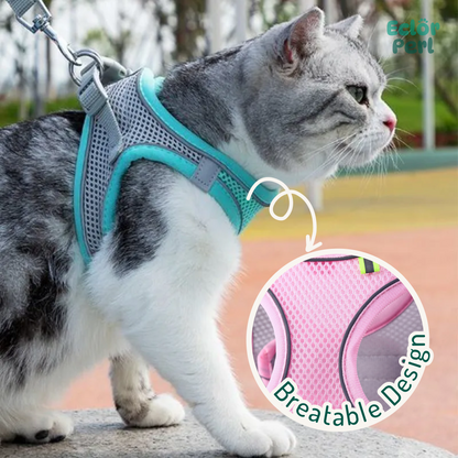 Anti-strike Cat Harness and Leash