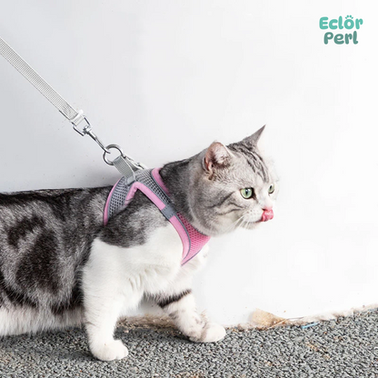 Anti-strike Cat Harness and Leash