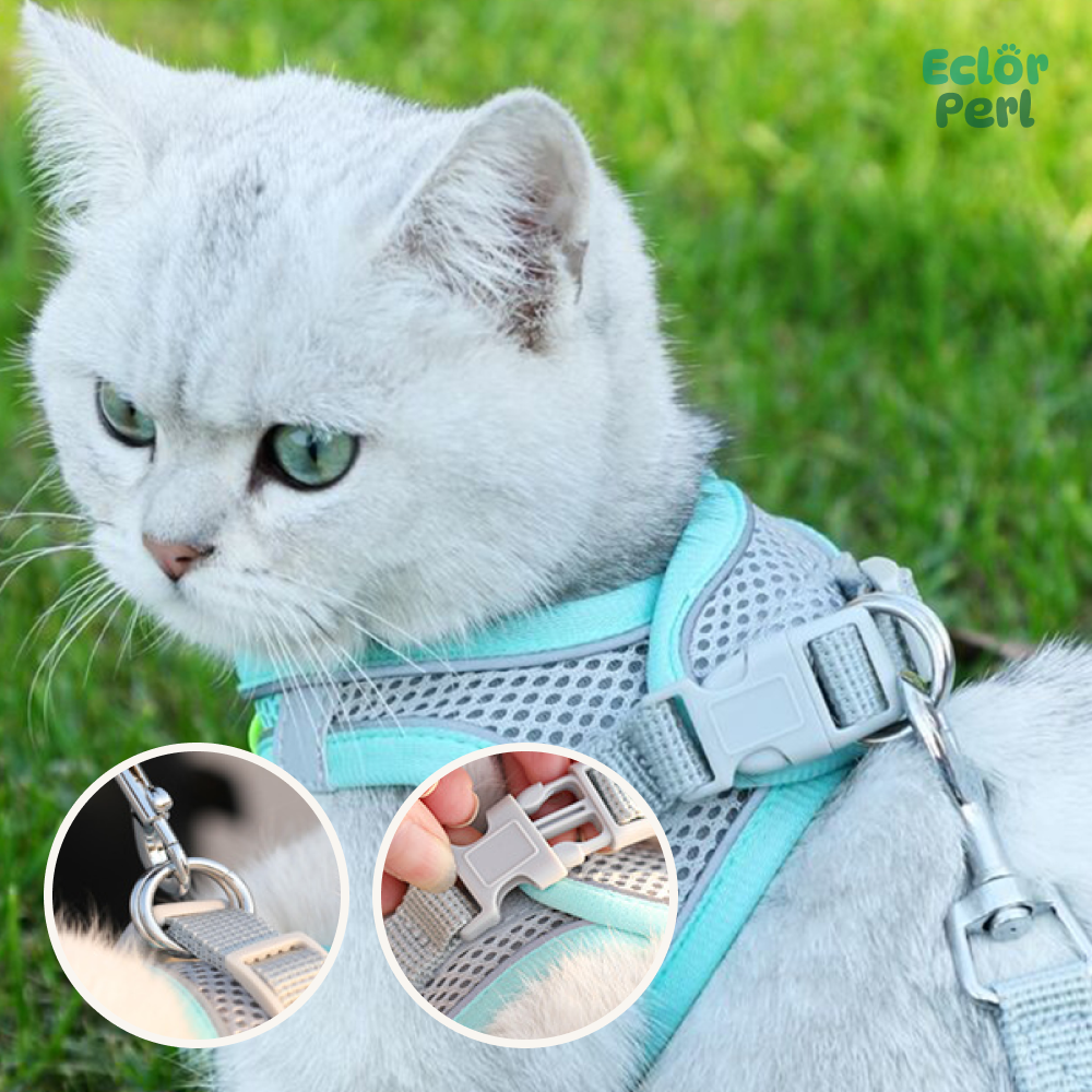 Anti-strike Cat Harness and Leash