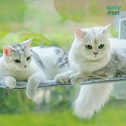 Foldable Cat Window Hammock