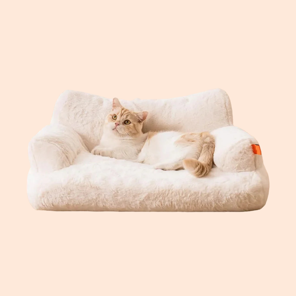 Fluffy Sofa Bed