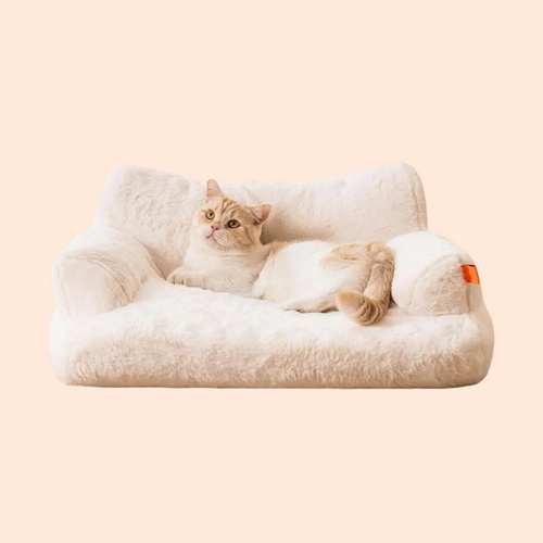 Fluffy Sofa Bed