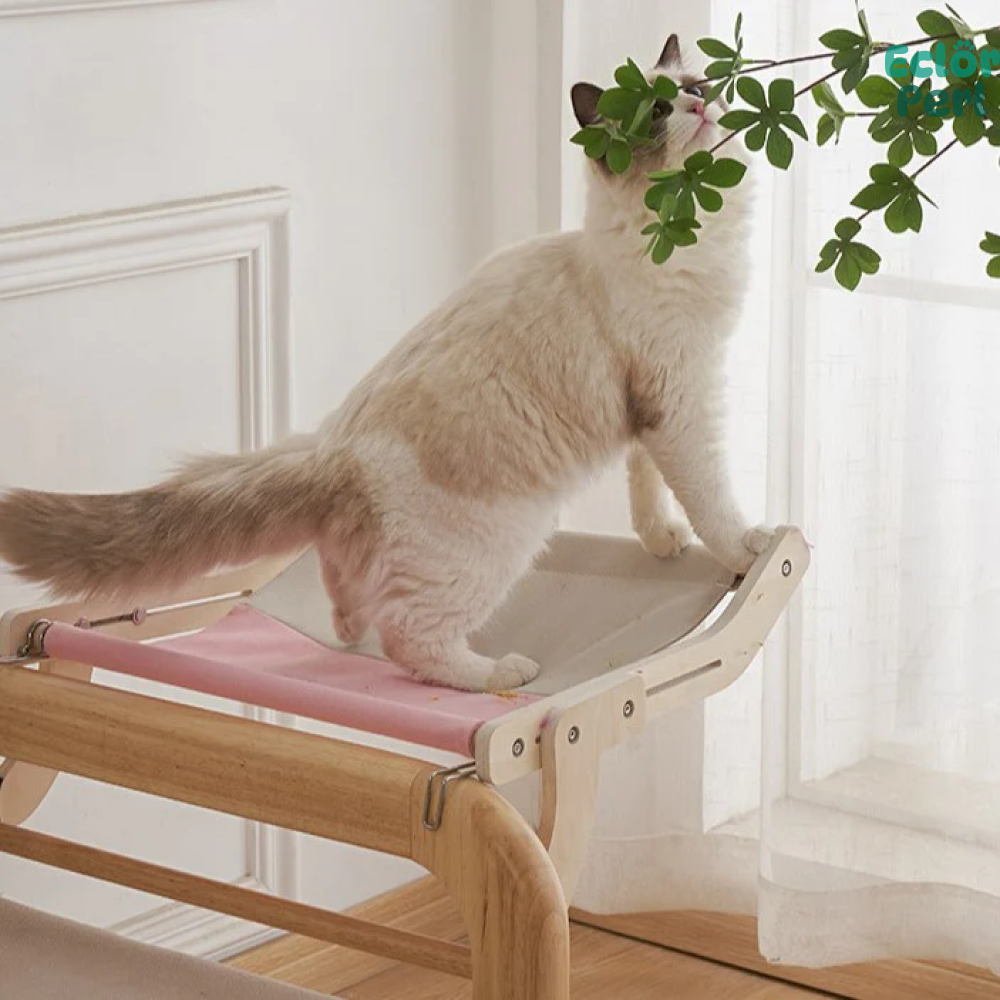 Cat Wooden Perch