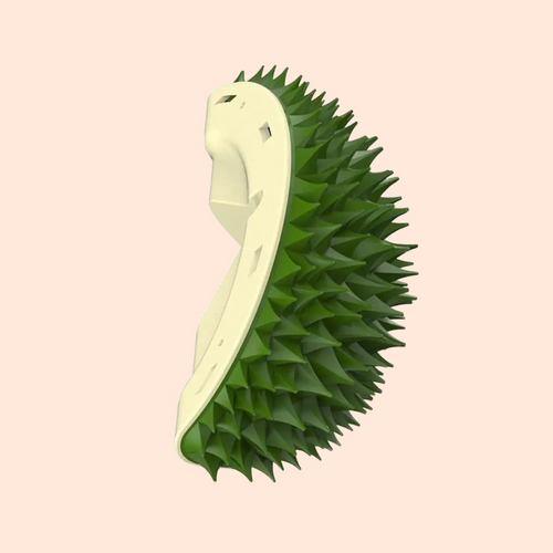 Durian Corner Brush